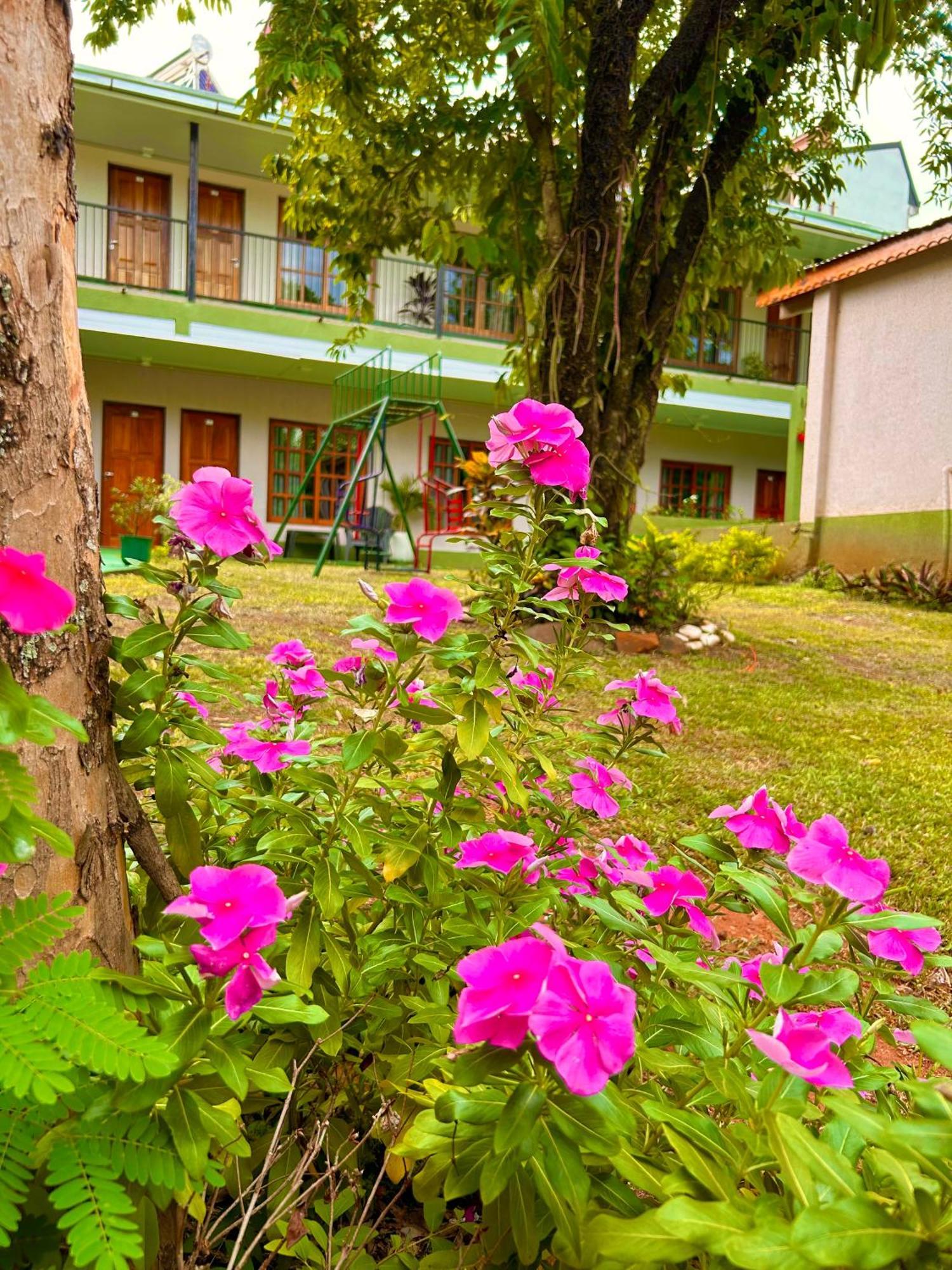 Tupa Hotel Iguazu Пуерто-Іґуасу Екстер'єр фото